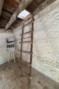 Photo 0 from Neill-Cochran House Museum