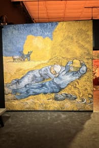 Photo 6 from Van Gogh: The Immersive Experience