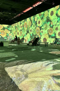 Photo 8 from Van Gogh: The Immersive Experience