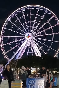 Photo 2 from La Grande Roue de Montréal