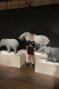 Photo 6 from The Art of the Brick: An Exhibition of LEGO® Art