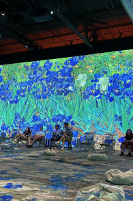 Photo 6 from Van Gogh: The Immersive Experience