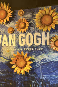 Photo 7 from Van Gogh: The Immersive Experience
