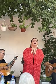 Photo 0 from Visita guiada à Casa-Museu Amália Rodrigues