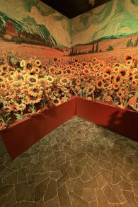 Photo 14 from Van Gogh: The Immersive Experience