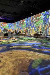 Photo 13 from Van Gogh: The Immersive Experience