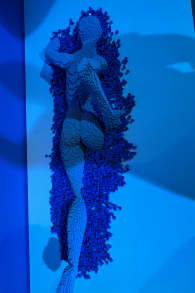 Photo 6 from The Art of the Brick: An Exhibition of LEGO® Art