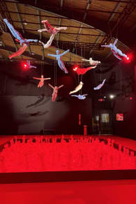 Photo 5 from The Art of the Brick: An Exhibition of LEGO® Art