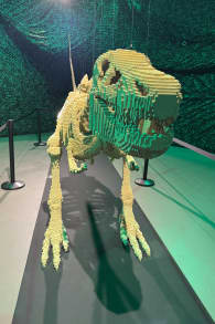Photo 7 from The Art of the Brick: An Exhibition of LEGO® Art