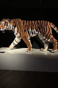 Photo 11 from The Art of the Brick: An Exhibition of LEGO® Art