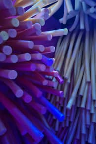 Photo 16 from Dopamine Land: Uma Experiência Multissensorial