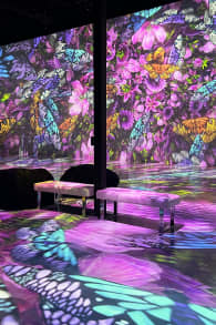Photo 7 from ARTECHOUSE Presents: Blooming Wonders