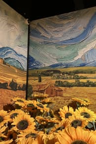 Photo 1 from Van Gogh: The Immersive Experience