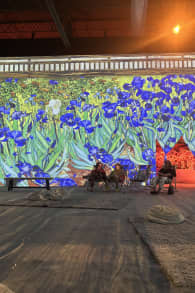 Photo 12 from Van Gogh: La Experiencia Inmersiva