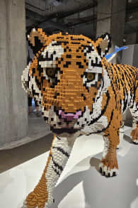 Photo 0 from The Art of the Brick: LEGO® Art Exhibition