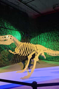 Photo 4 from The Art of the Brick: LEGO® Art Exhibition