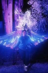 Photo 11 from LUMA Enchanted: A Whimsical Sensory Night Walk