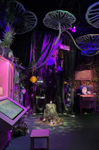 Photo 2 from La Cité Immersive des Fables