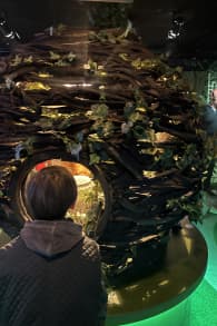 Photo 6 from La Cité Immersive des Fables