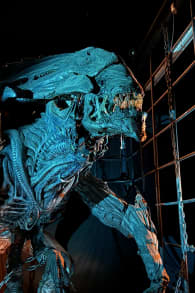 Photo 16 from Musée Cinéma et Miniature : Plongez au cœur du cinéma et des effets spéciaux