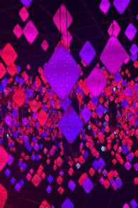 Photo 2 from ARTE MUSEUM: An Immersive Media Art Exhibition