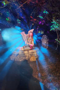 Photo 0 from Disney Tim Burton’s The Nightmare Before Christmas Light Trail