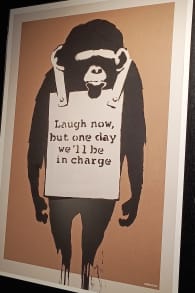 Photo 1 from Banksy Limitless