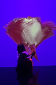 Photo 3 from ARTE MUSEUM: An Immersive Media Art Exhibition