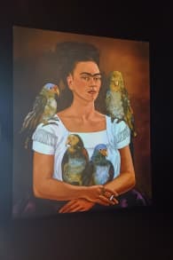 Photo 2 from Viva Frida Kahlo - das immersive Erlebnis