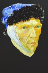 Photo 0 from VINCENT - Zwischen Wahn und Wunder
