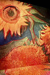 Photo 2 from VINCENT - Zwischen Wahn und Wunder