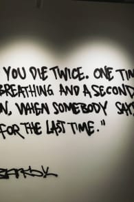 Photo 5 from Banksy Limitless