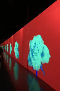 Photo 1 from ARTE MUSEUM: An Immersive Media Art Exhibition
