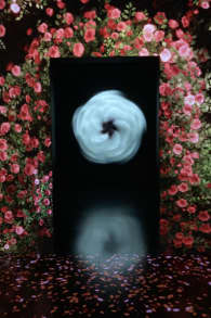 Photo 3 from ARTE MUSEUM: An Immersive Media Art Exhibition