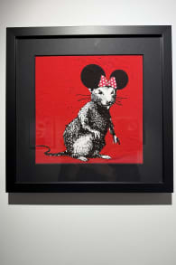 Photo 16 from Banksy Limitless: Reframed