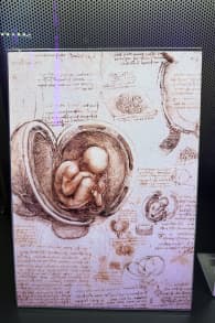 Photo 3 from LEONARDO VERSUS MICHELANGELO