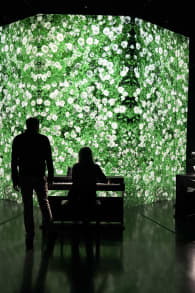 Photo 7 from ARTE MUSEUM: An Immersive Media Art Exhibition