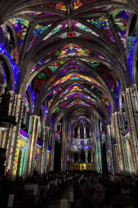 Photo 6 from LUMINISCENCE - Bordeaux Cathedral: History, 360° Video Mapping and Live Music