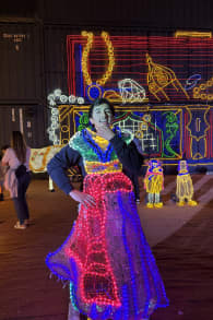 Photo 8 from Festilumi