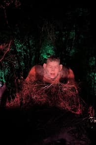 Photo 1 from Harry Potter™: A Forbidden Forest Experience