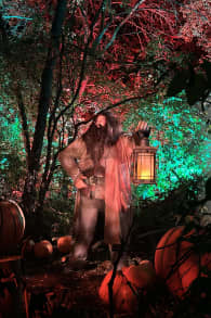 Photo 2 from Harry Potter™: A Forbidden Forest Experience