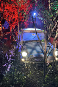 Photo 3 from Harry Potter™: A Forbidden Forest Experience