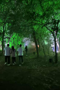 Photo 5 from Harry Potter™: A Forbidden Forest Experience