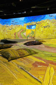 Photo 6 from VINCENT - Zwischen Wahn und Wunder