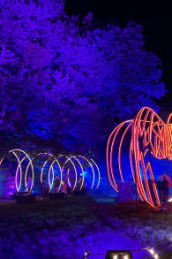 Photo 4 from Disney Tim Burton’s The Nightmare Before Christmas Light Trail