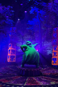 Photo 6 from Disney Tim Burton’s The Nightmare Before Christmas Light Trail