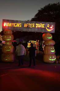 Photo 6 from Pumpkins After Dark