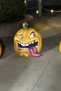 Photo 8 from Pumpkins After Dark