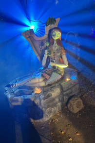 Photo 9 from Disney Tim Burton’s The Nightmare Before Christmas Light Trail
