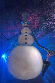 Photo 10 from Disney Tim Burton’s The Nightmare Before Christmas Light Trail